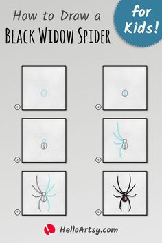 Step by step drawings illustrating how to draw a Black Widow Spider Drawing Black Widow Spider Drawing, Widow Spider, Black Widow Spider