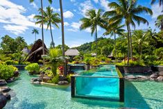 an outdoor swimming pool surrounded by palm trees