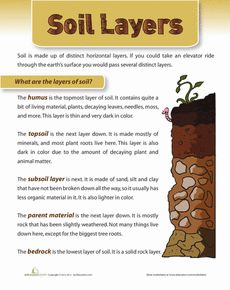 soil layers worksheet with answer sheet and notes for students to use in science