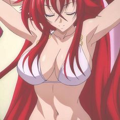 Rias Grimoire Highschool Dxd, Rias Grimoire, Kurama Susanoo, Alexis Rhodes, High School D×d, Anime High School, Anime Smile, Anime Drawing Books, Best Girl