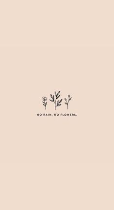 flowers with the words no rain, no flowers written in black ink on a beige background