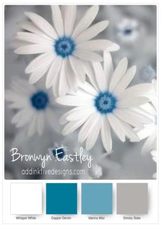 white daisies with blue centers in the center are featured in this color scheme for brown and