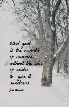 a tree in the snow with a quote about what good is the warmth of summer, without the cold