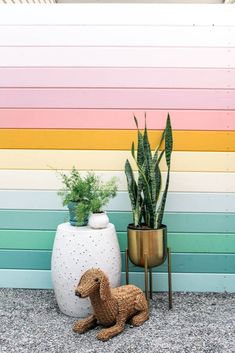 a potted plant sitting next to a white vase