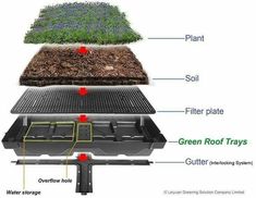 an image of different types of plants growing in the ground with labels on each side