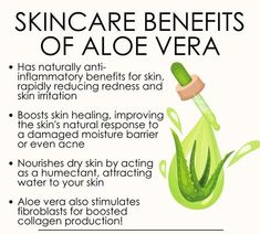 🌱 Unlock Your Skin's Potential: Aloe Vera Oil's Skin Care Benefits Revealed! 💆‍♀️ Aloe Vera Plant For Skin, Beauty Affairs, Aloe Vera Skincare, Hoodoo Herbs, Glowy Skincare, Aloe Vera For Face