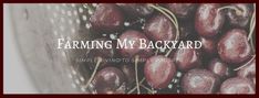 a bucket full of cherries with the words farming my backyard grow food in the city