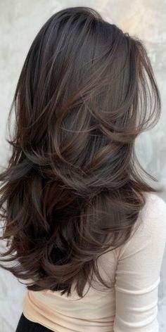 Long Hair Haircut Ideas Layers, Layered Hair Inspo Long, Long Layered Hair From The Back, Cute Layers For Long Hair, Short Layered Haircuts On Long Hair, Back Layers Long Hair, Flowy Layers Haircut, Haïr Cut With Layers, Layered Haircuts For Medium Long Hair