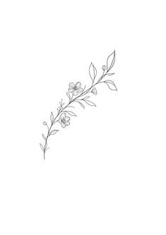 a line drawing of flowers on a white background