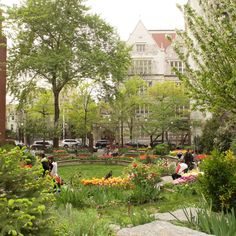 people are sitting in the middle of a park with lots of trees and flowers around it