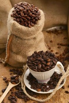 coffee beans in a white cup and saucer next to burlap sack on wooden table