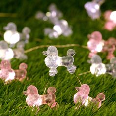 some pink and white flowers are in the grass