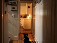 a dog sitting on the floor in front of an open door and looking into a kitchen