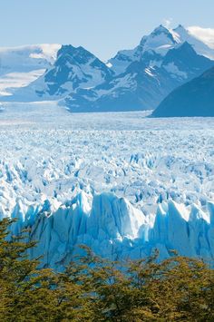 a large glacier with snow capped mountains in the background and trees on the foreground