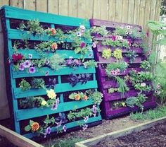 a wooden pallet filled with lots of flowers next to a garden wall covered in plants