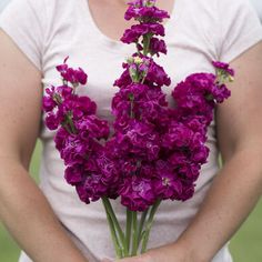 a woman holding purple flowers in her hands