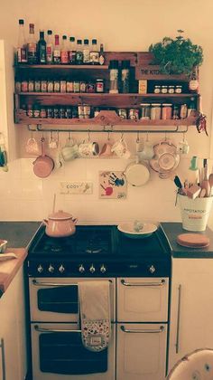 a person holding a potted plant in front of an oven with pots and pans on it