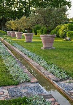 several planters are lined up along the edge of a small pond in a garden