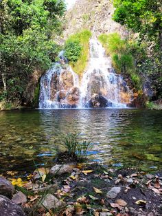 a waterfall in the middle of a forest with lots of leaves on the ground and water running down it