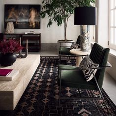 a living room filled with furniture and a large potted plant