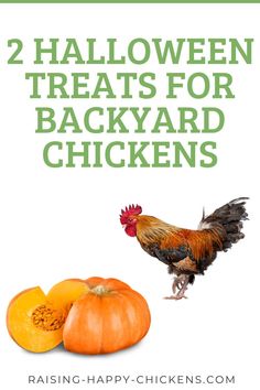 two halloween treats for backyard chickens with pumpkins and an orange on the side text reads, 2 halloween treats for backyard chickens