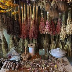 dried flowers and herbs are on display in a shop