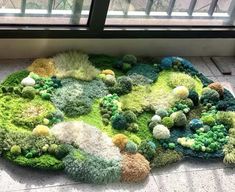 a rug made out of various types of plants on the floor in front of a window