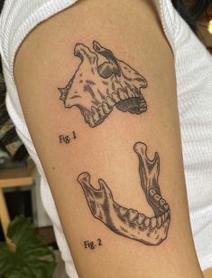 a woman's arm with two different tattoos on the arms and one has a horse head