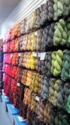 there are many skeins of yarn on the shelves in this store, all different colors