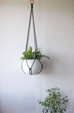 a potted plant hanging from a hook on the wall next to a green plant