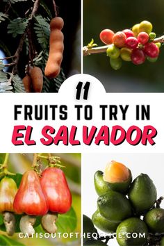 fruits to try in el salvador