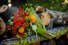 a bouquet of flowers sitting on top of a wooden bench next to logs and trees