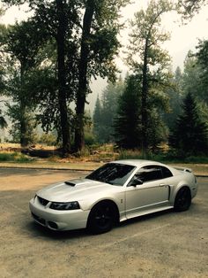 a white car parked in front of some trees