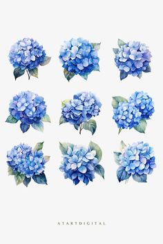 blue flowers are arranged in the shape of letters