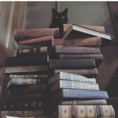 a black cat sitting on top of a stack of books