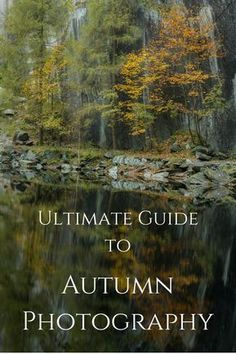 the ultimate guide to autumn photography