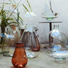 several glass vases sitting on top of a table next to plants and potted plants