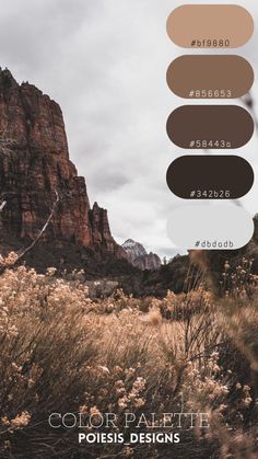 the color palette is for this desert scene