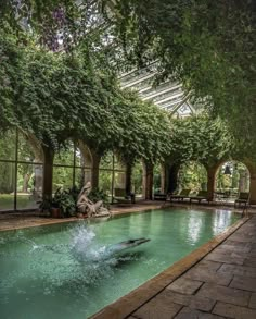 a man diving into a swimming pool surrounded by green plants and trees in the background