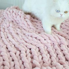 a white cat sitting on top of a pink blanket covered in knitted yarns