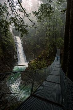 a suspension bridge in the middle of a forest with a waterfall on one side and trees on the other