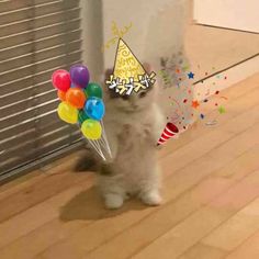 a cat with balloons and a birthday hat on it's head standing in front of a wall