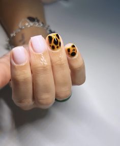 Short Nail Designs Leopard Print, Cute Short Acrylic Nails Leopard, Short Square Cheetah Nails, Summer Cheetah Nails Short, Short Nail Cheetah Designs, Natural Nails Manicure, Ombre Acrylic Nails