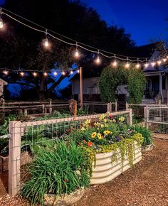 an outdoor garden area with lights strung over the fence and flowers in pots on the ground