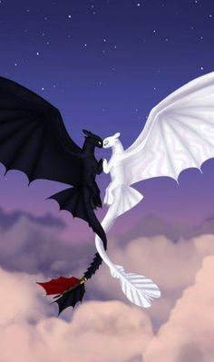 two black and white dragon flying in the sky