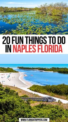 20 Fun Things To Do In Naples, Florida Bucket List Florida, Florida With Kids, Florida Naples, Naples Beach, Beautiful Countries