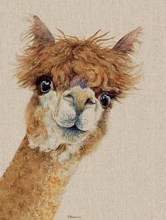 a painting of an alpaca looking at the camera