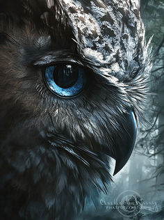 an owl with blue eyes is shown in the dark night forest, looking into the distance