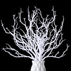 a white vase with branches in it on a black background