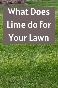 what does lime do for your lawn Lime For Lawns, Benefits Of Lime, Lawn Mowing Business, Lawn Striping